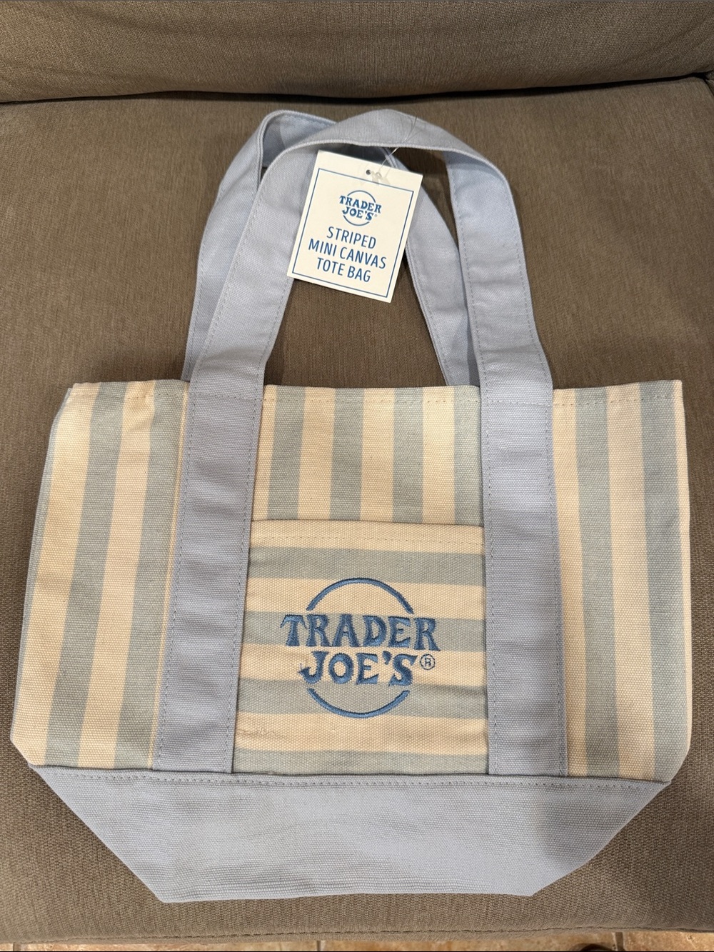 Trader Joe’s Striped Mini Canvas Tote Bag - Light Blue and Cream